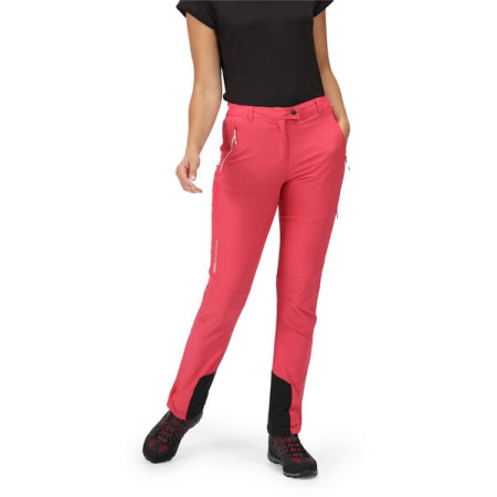 Spodnie damskie Regatta Mountain Trs III