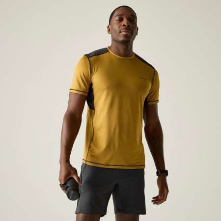 Koszulka męska Regatta Virda