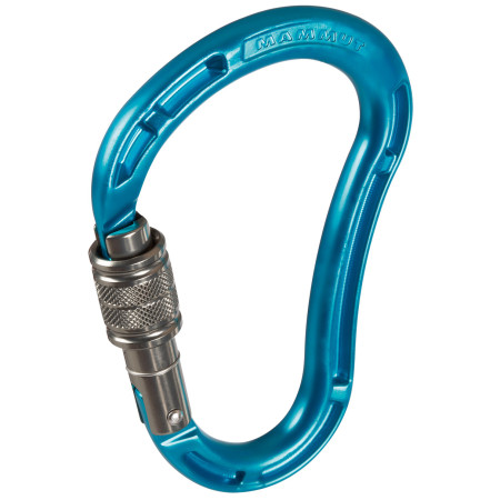 Karabinek Mammut Bionic Mythos Screw Gate niebieski aqua