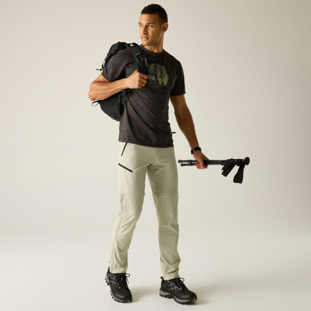 Spodnie męskie Regatta Xert Stretch Z/O Trousers