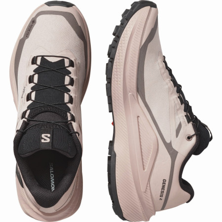 Damskie buty do biegania Salomon Genesis 2 Gtx W