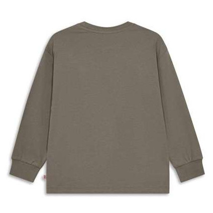 T-shirt dziecięcy Lego Wear Lwtaj 608 Brown