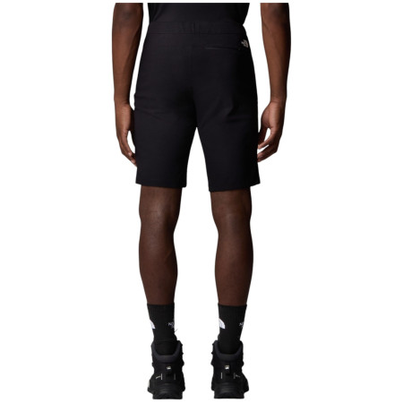Męskie szorty The North Face Lightning Short - Eu
