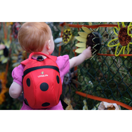 Plecak dziecięcy LittleLife Toddler Backpack - Ladybird