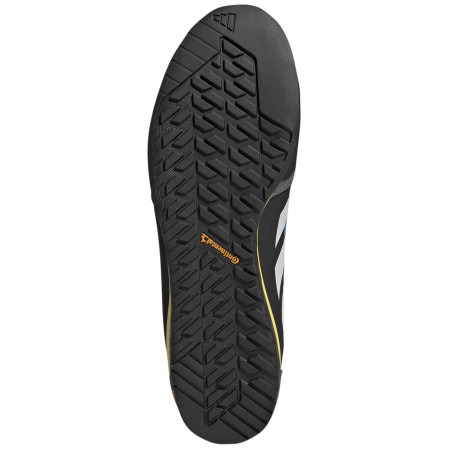 Buty męskie Adidas Terrex Skychaser Solo 3