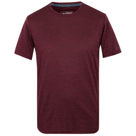 Koszulka męska Regatta Fingal Edition