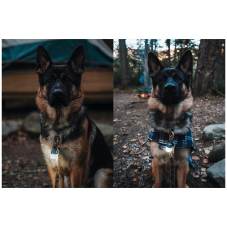 Zestaw oświetlenia BioLite Site Lights