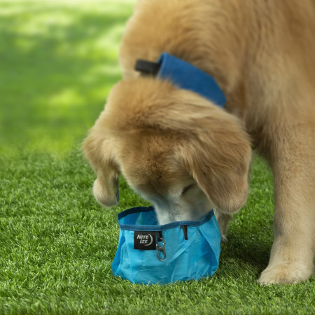 Miska dla psa Nite Ize Raddog Bowl