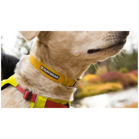 Obroża dla psa Ruffwear Hi & Light™ Collar
