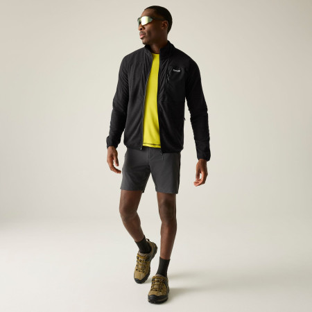 Męska bluza Regatta Scaris