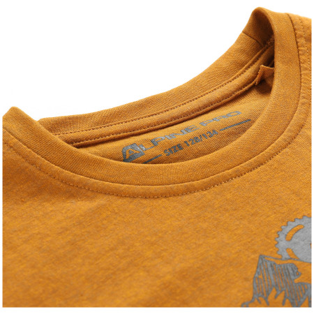 T-shirt dziecięcy Alpine Pro Bigero 2 Oak