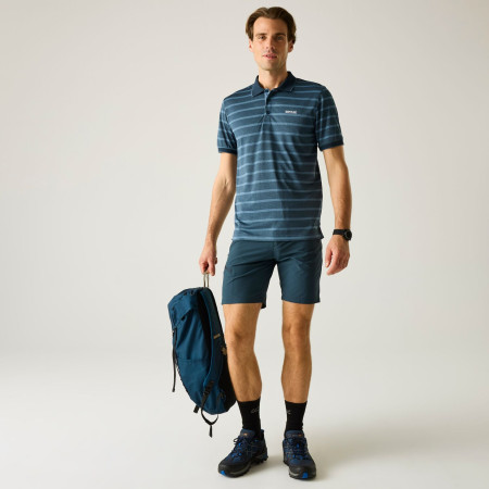 Koszulka męska Regatta Kildra