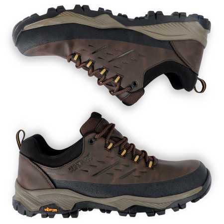 Buty męskie Regatta Blake Low