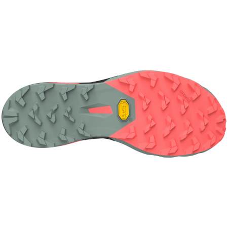 Damskie buty do biegania Dynafit Alpine Pro 2 W