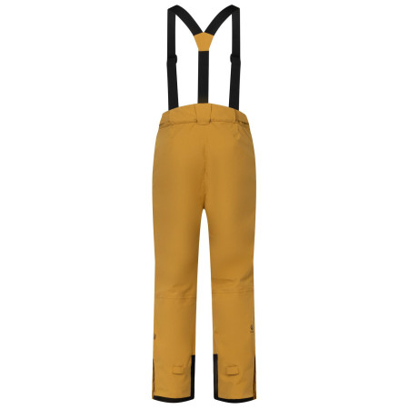 Spodnie męskie Dare 2b Achieve III Pant regular