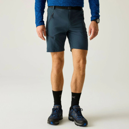 Spodenki męskie Regatta Xert Stretch Shorts