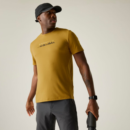 Koszulka męska Regatta Fingal Stretch