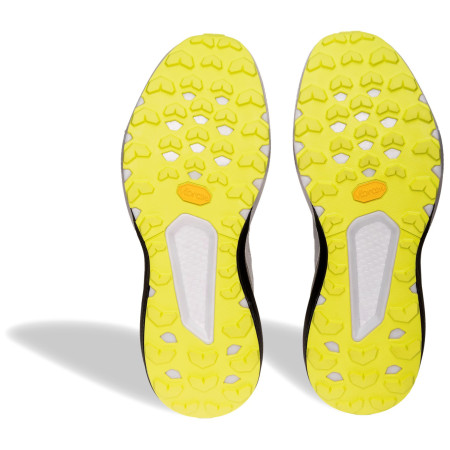 Buty do biegania dla mężczyzn Dynafit Trail