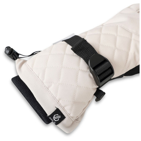 Damskie rękawice narciarskie Dare 2b Womens Summit Glove