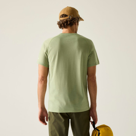 Koszulka męska Regatta Escade