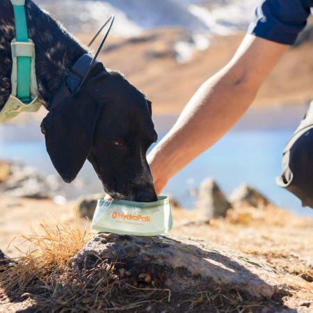 Składana miska Hydrapak Rover Dog Bowl