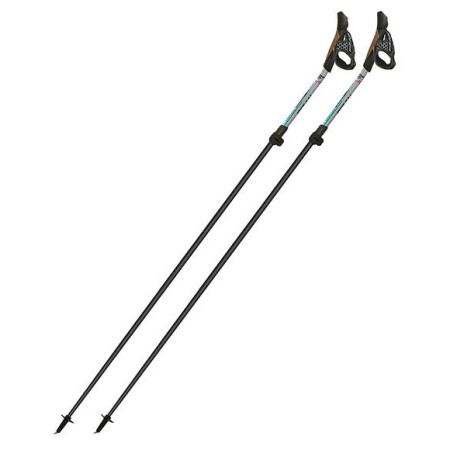 Kijek Nordic walking Fizan Tekno Race Impulse szary Grey
