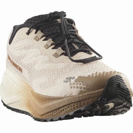Damskie buty do biegania Salomon Aero Blaze 4 Grvl W