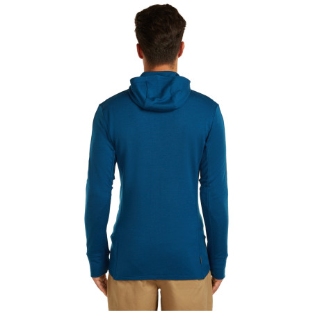 Męska bluza Icebreaker M Mer 260 Quantum IV LS Zip Hoodie
