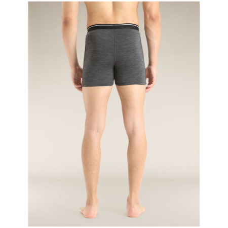 Męskie bokserki Icebreaker Mens Anatomica Boxers