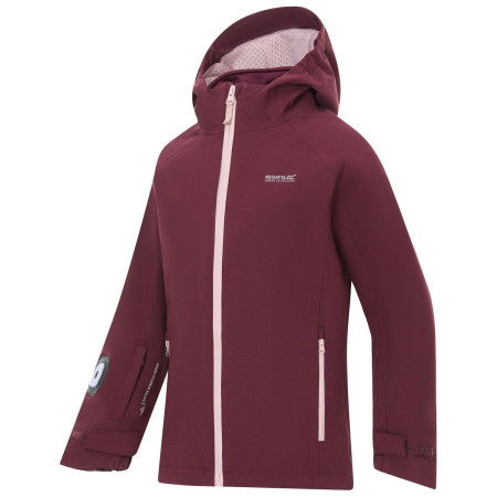 Kurtka zimowa dla dziewczynek Regatta Girls Trekktain 3-in-1 II FigPowLilac