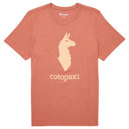 Koszulka męska Cotopaxi Cotopaxi Llama T-Shirt