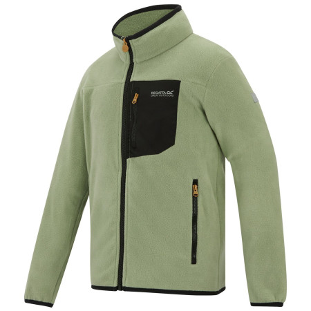 Bluza dziecięca Regatta Junior Frankie F/Z Light Sage
