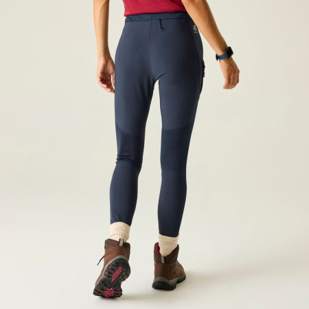 Damskie legginsy Dare 2b Torrek Legging