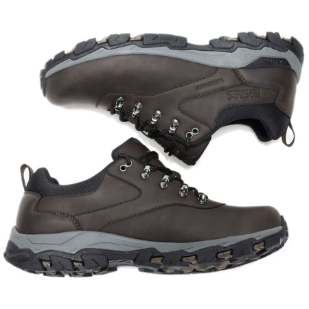 Buty męskie Regatta Holcombe Classic Low