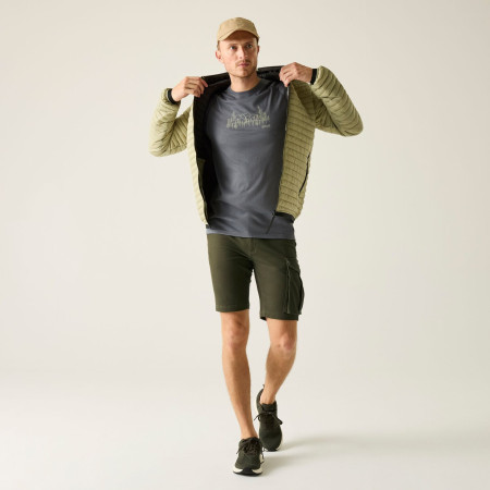 Spodenki męskie Regatta Bendrick Shorts