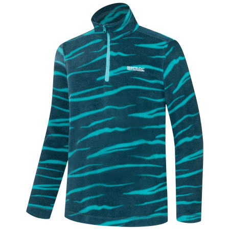 Bluza dziecięca Regatta Hot Shot II MeditZebra