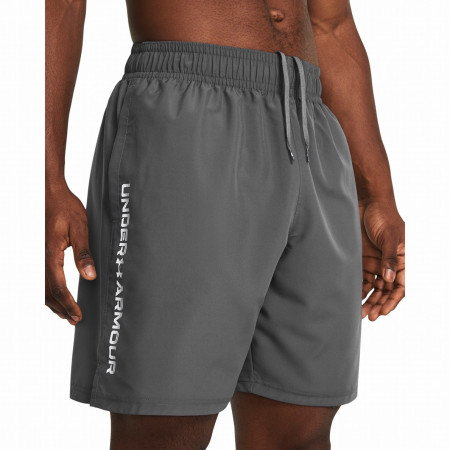 Męskie szorty Under Armour Woven Wdmk Shorts