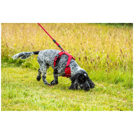 Szelki dla psa Mountain Paws Dog Harness