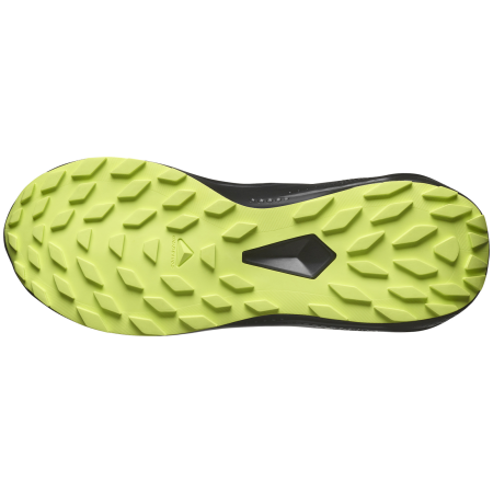 Buty do biegania dla mężczyzn Salomon Alphaglide Gore-Tex