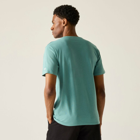 Koszulka męska Regatta Cline IX