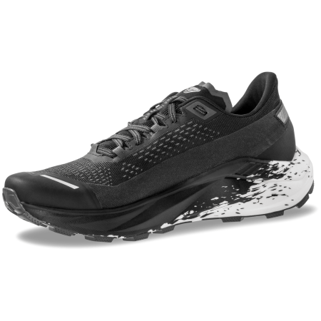 Buty do biegania dla mężczyzn Dynafit Ultra 100 V3 GTX