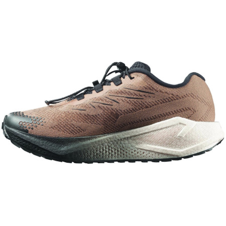 Buty męskie Salomon Aero Blaze 4 Grvl