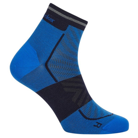 Skarpety męskie Icebreaker Men Merino Run+ Ultralight Mini