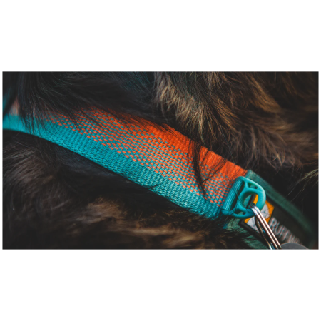 Obroża dla psa Ruffwear Front Range™ Collar