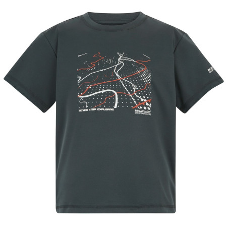 T-shirt dziecięcy Regatta Alvarado Seal Grey szary Seal Grey