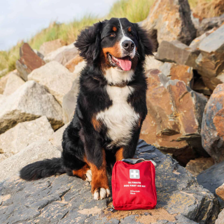 Apteczka dla psa Mountain Paws Ultimate Dog First Aid Kit
