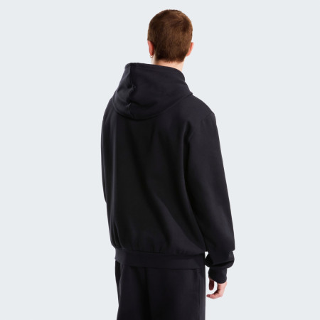 Bluza męska The North Face M Evolution Simple Dome Regular Hoodie
