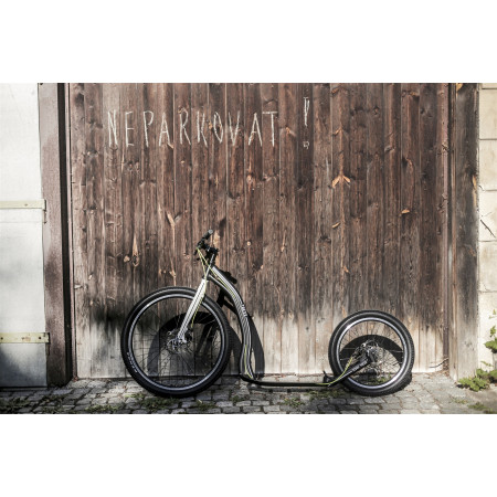 Hulajnoga Yedoo Trexx Disc