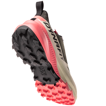 Damskie buty do biegania Dynafit Traverse 2 Gtx W