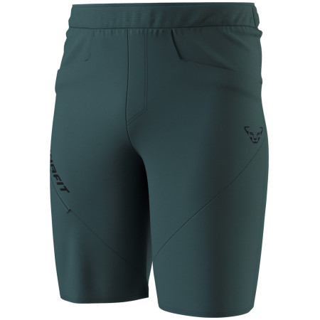 Spodenki męskie Dynafit Traverse Hybrid Shorts M